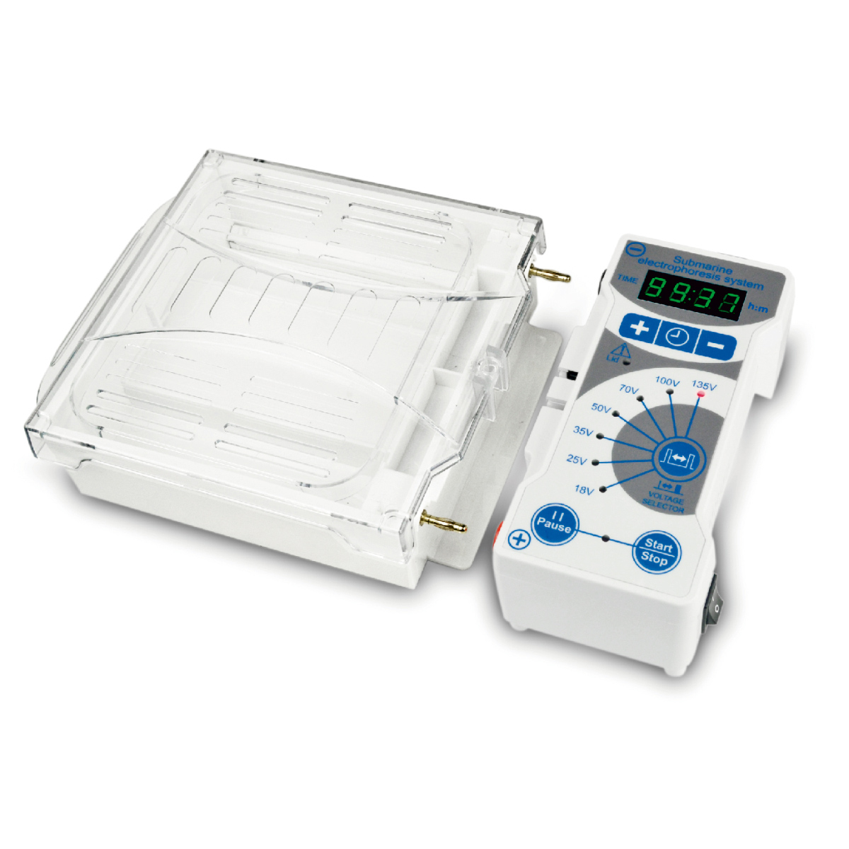 Horizontal Gel Electrophoresis